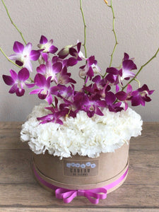 Simply Orchid